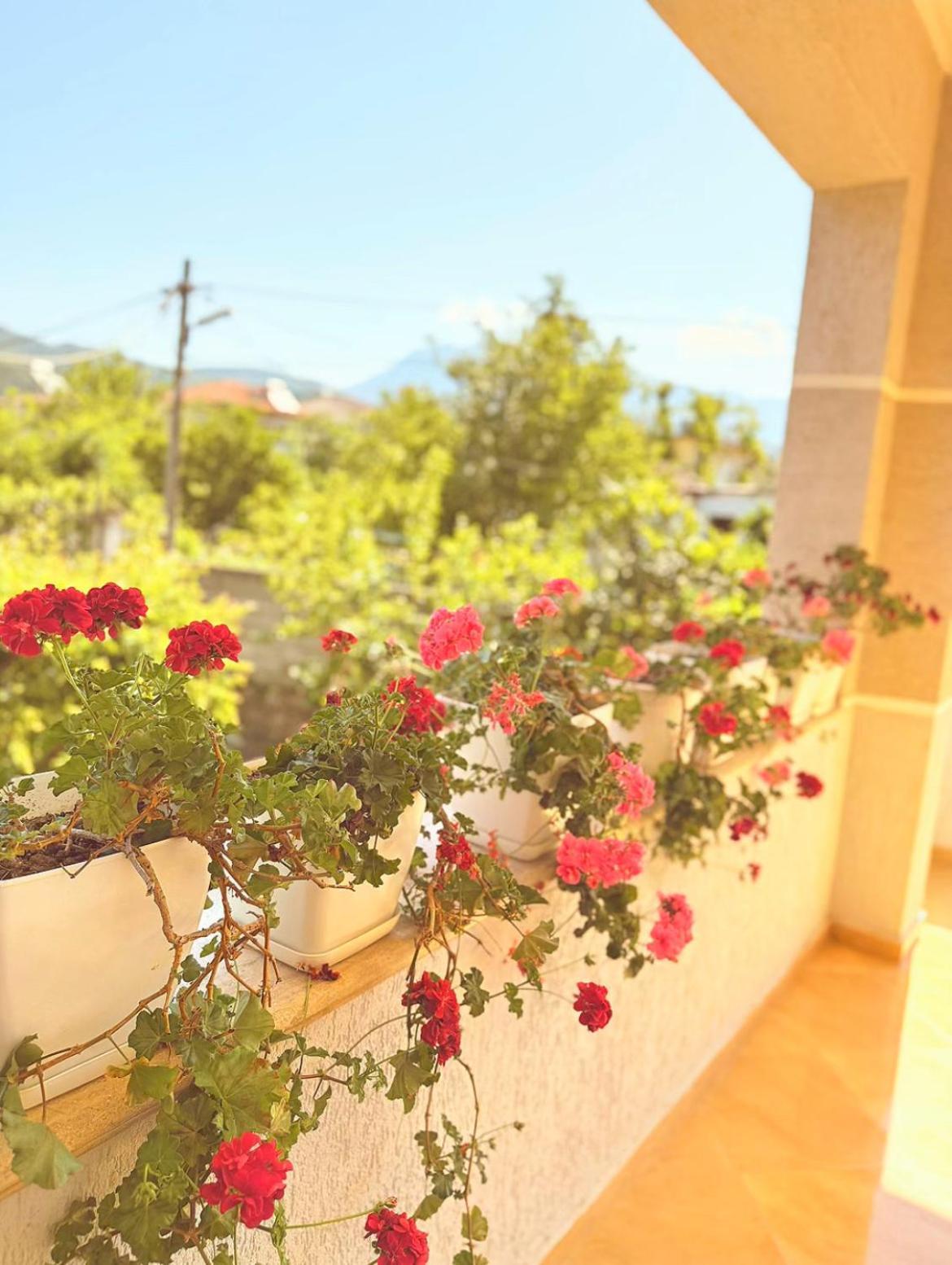 Anel's Appartement Berat